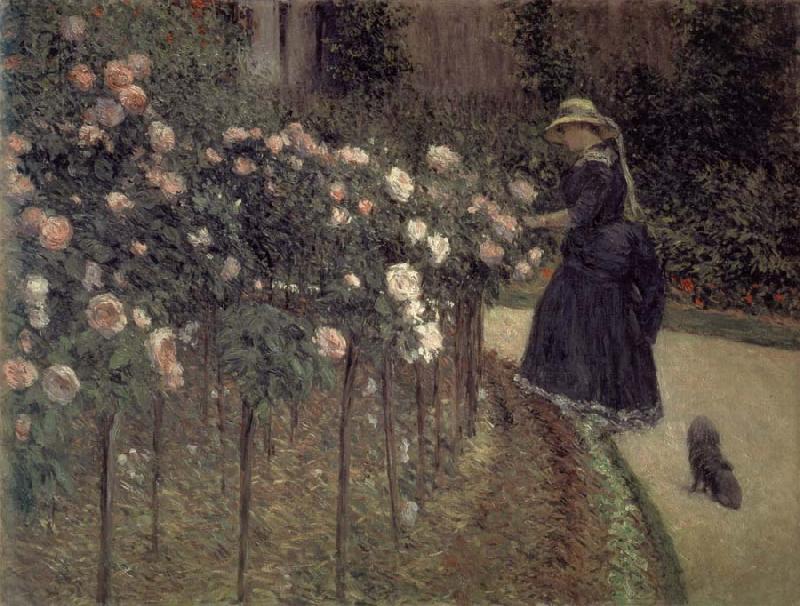 Gustave Caillebotte Roses-The Garden in Petit-Gennevilliers China oil painting art